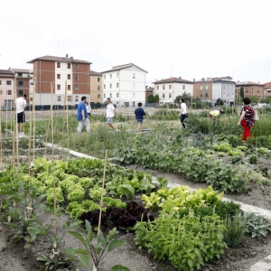 ORTI URBANI SOCIALI 2 - VIA MACHIAVELLI