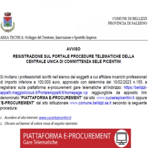 PORTALE PROCEDURE TELEMATICHE CUC